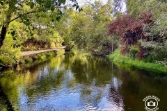 373064316_268522579321929_5437107629757252081_n