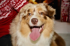 411739824_330196696487850_6270359485274107278_n