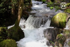 431477717_383891684451684_5537684117982708604_n