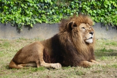 437558335_398054066368779_4208606827163641502_n