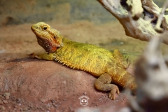 437579014_398053969702122_5592015916684376804_n